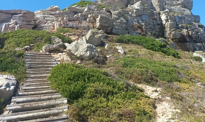 Full-Day Cape of Good Hope and Boulders Beach Penguins Tour