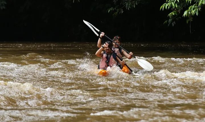 Rainforest Kayaking from Kuching