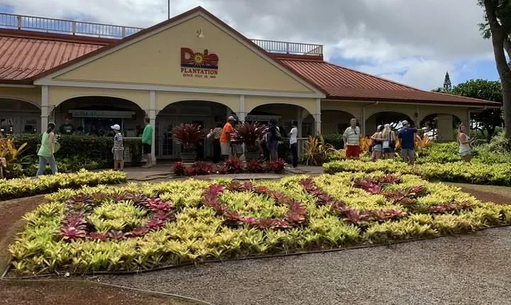 Small Group-Oahu Tour, Dole Plantation, Northshore, Sunset Beach