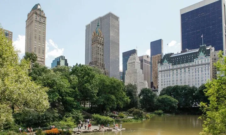 Central Park and 5th Avenue Walking Tour