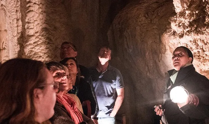 Glow Worm Caves Express Tour in Bay of Islands