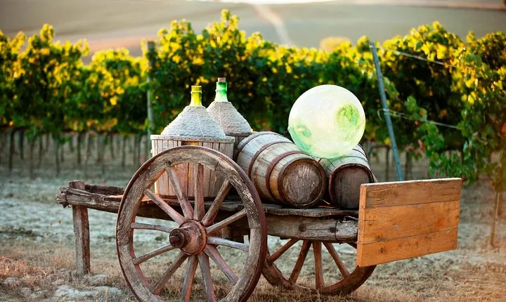Chianti Classico, Montalcino, Montepulciano by minivan: Wine Tastings & Lunch