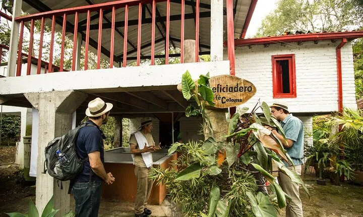 Traditional Coffee Farm Experience at Hacienda Coloma from Bogotá