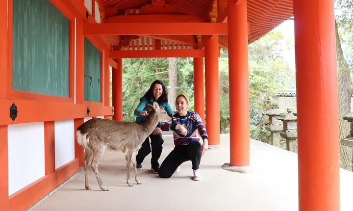 Private Nara Tour and Sake Tasting (Departing from Kyoto/Nara)