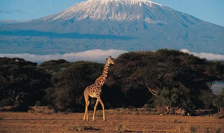 6 days Marangu RouteMount Kilimanjaro Trekking