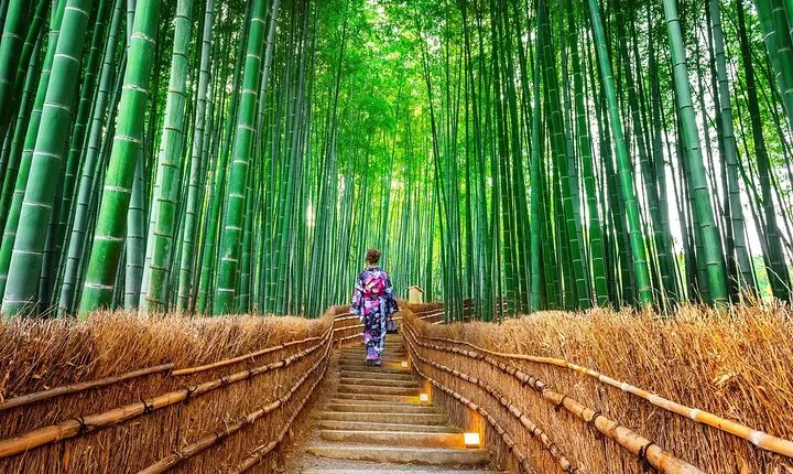 Arashiyama Autumn Leaves & Sanzen-in Temple Tour from Osaka/kyoto