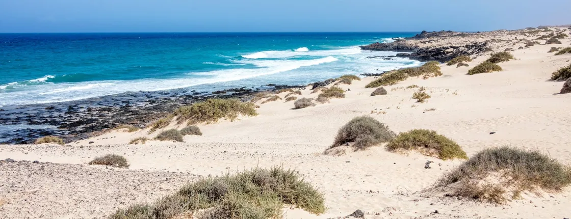 Fuerteventura & Lobos Island Tour with Free Time