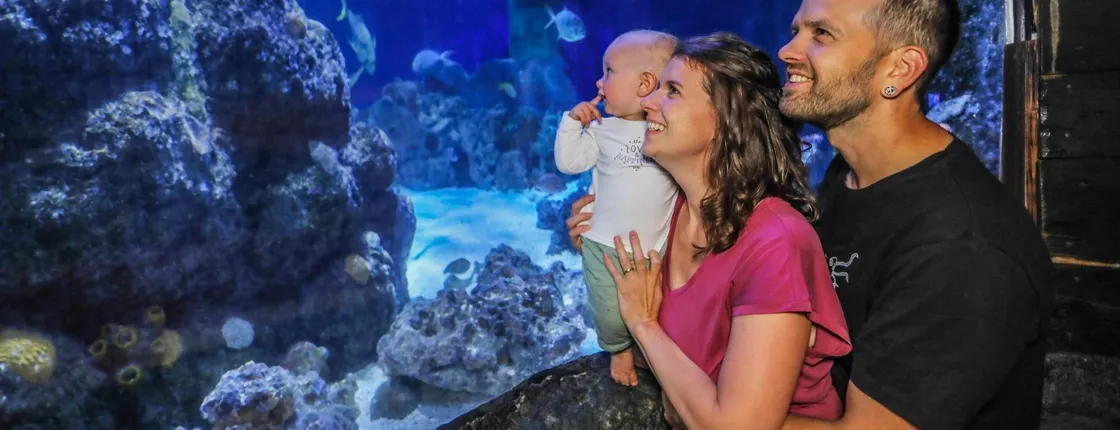 SEA LIFE Hanover tickets