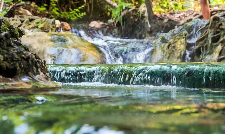 Krabi Jungle Tour with Kayaking at Ao Thalane