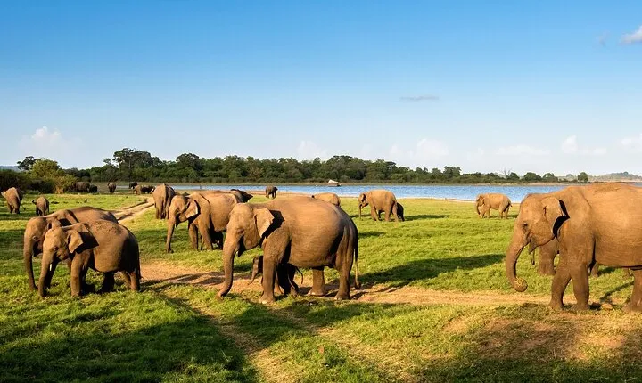 Private Multi-Day Outdoor Tour in Sri Lanka
