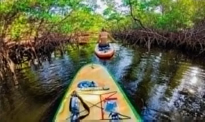 Fort Lauderdale Bonnet House Ground and Guided Paddle Board Kayak