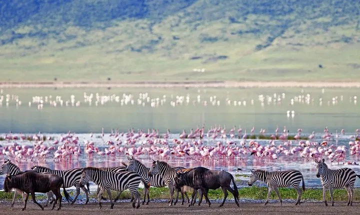 Ngorongoro Crater -Best safari