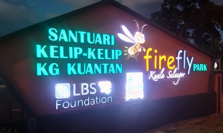 Private Tour Batu Caves,Wonderful Fireflies,Eagles and Silvered Leaf Monkey 