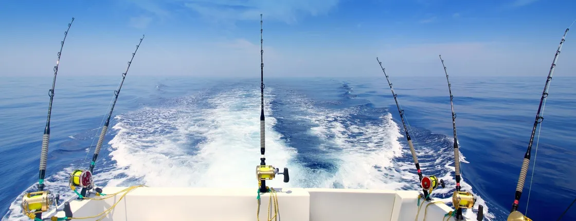 Half-Day Fishing Boat Experience From Puerto Colon Tenerife