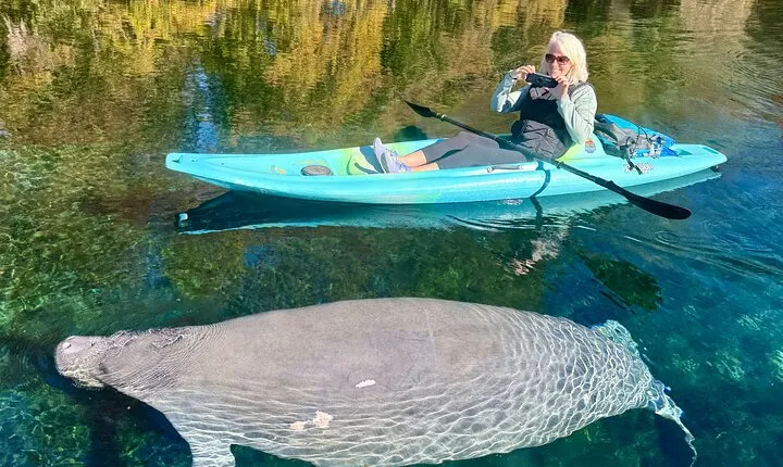 Silver Springs Premium Florida Wildlife Experience!