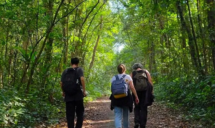 Full-Day Trekking: Explore Cat Ba National Park, Viet Hai Village