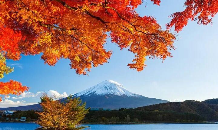 Airport transfer between Narita and Mount Fuji or Hakone Onsen