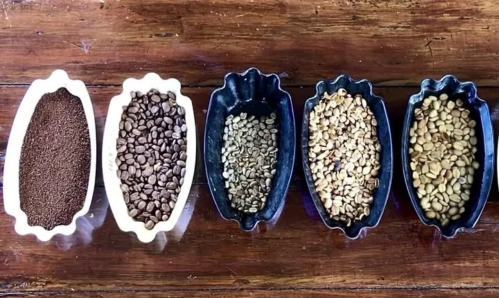 Blue Mountains Coffee Private Tour from Kingston