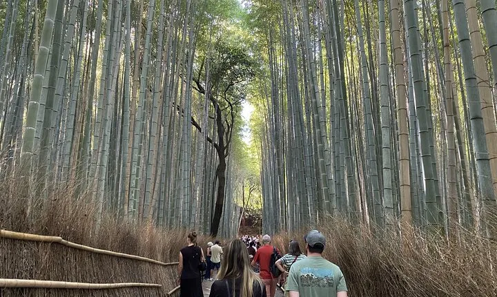 Discover the Hidden Paths of Arashiyama