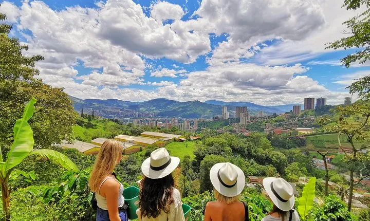 Coffee & Horses Private Tour in Medellin: A Fun & Authentic Day