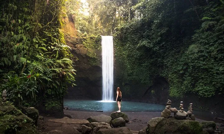 Private Inclusive Tour: The Best Of Ubud With Jungle Swing