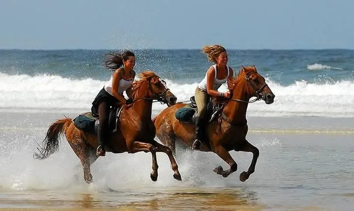 Horse Riding Agadir