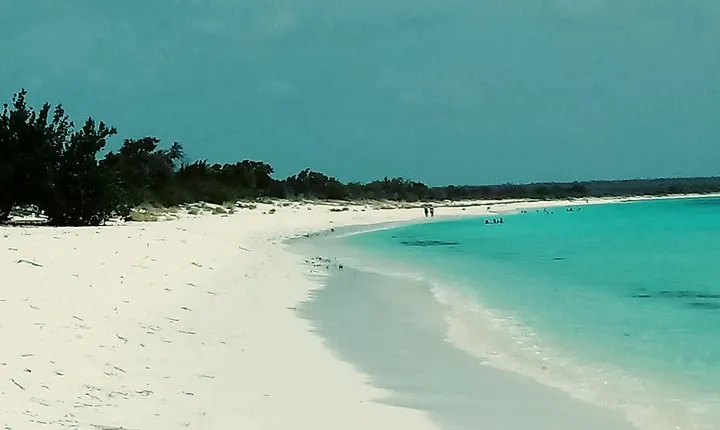 Tour to Saona Island