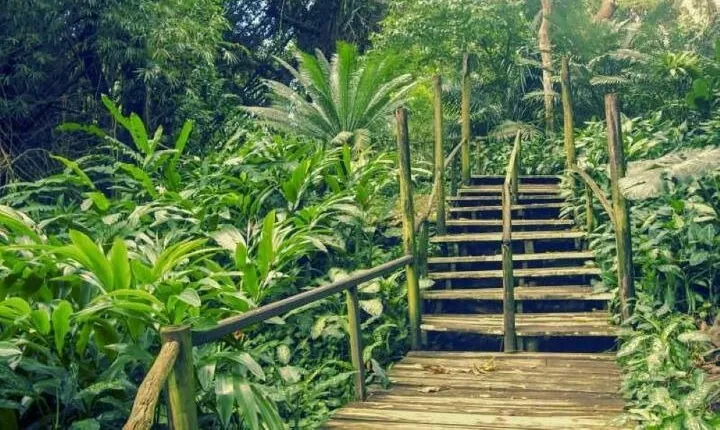 Full Day Nadi Discover Tour ( From Sigatoka Coral coast Hotels )