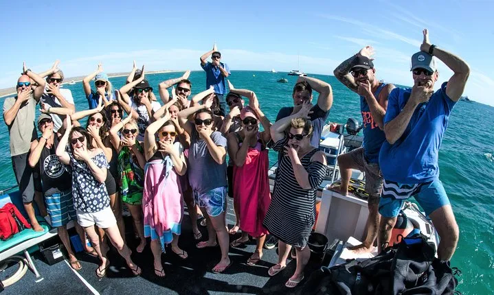 Deluxe Mega Fauna Humpback or Whaleshark Swim Ningaloo Reef