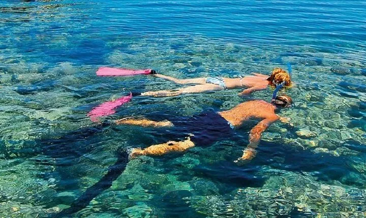 Tiran Island snorkeling trip, Lunch, Transfer - Sharm El Sheikh