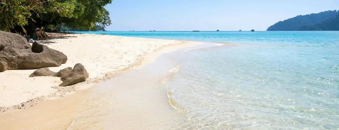Full-day Surin Islands early bird tour by speed catamaran with optional transfers