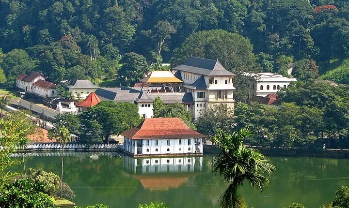 Kandy Day Trip with Tooth Relic Temple & Unique Attractions