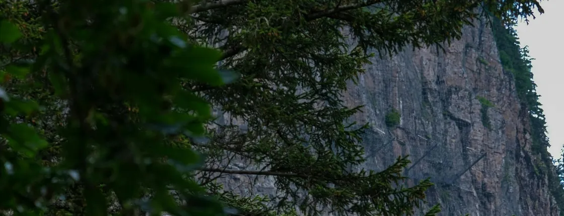 Sumela Monastery and Ayavarvara Church small group tour