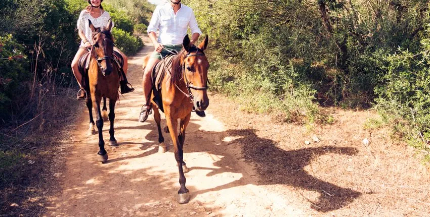 Horseback Riding from San Gimignano