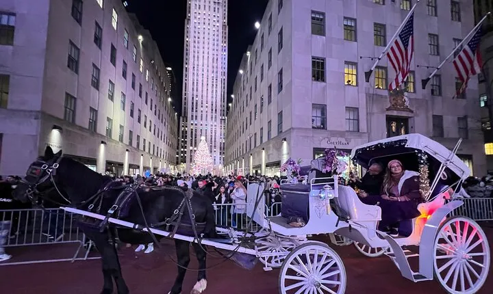 NYC : Magical Christmas Lights Private Horse Carriage Ride