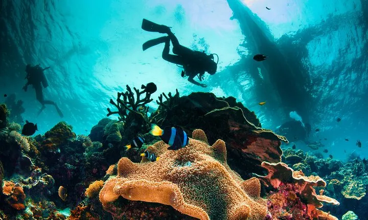 Try Scuba Diving in Racha Yai or Noi : 2 Dives for Non-Certified