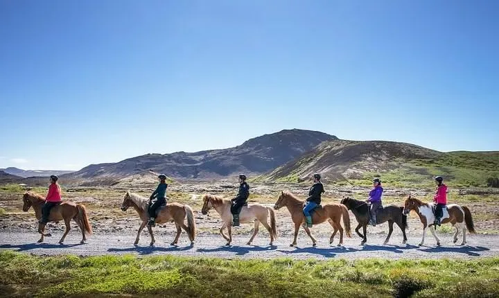 Icelandic Horseback Riding Tour from Reykjavik