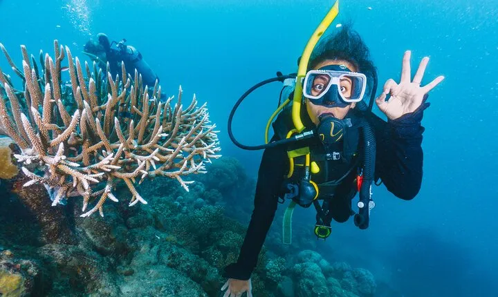 Hamata & Qulaan Islands, Snorkel & dive Trip & Lunch - Marsa Alam