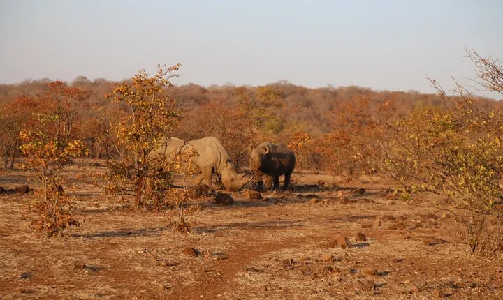 5-Day Visit Zimbabwe, Zambia, Botswana & Namibia Island