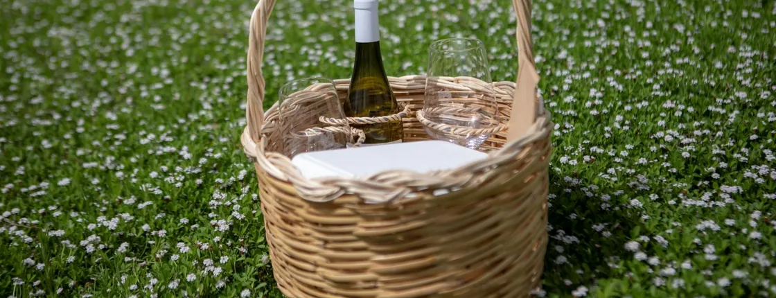 Picnic in a Vineyard in Lipari with Scenic Islands Views