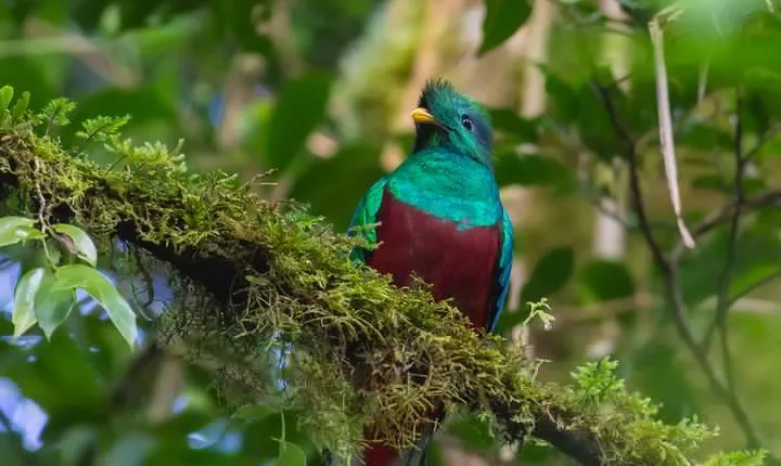 3-Day Tour of Cobán and Semuc Champey from Guatemala City