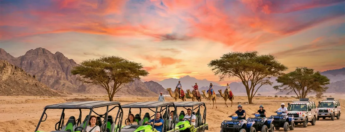 Desert safari by quad bike and 4x4 with Bedouin village dinner