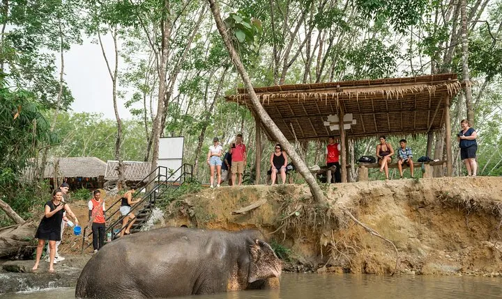 Khao Lak Elephant Sanctuary Tour with Waterfall and Lunch