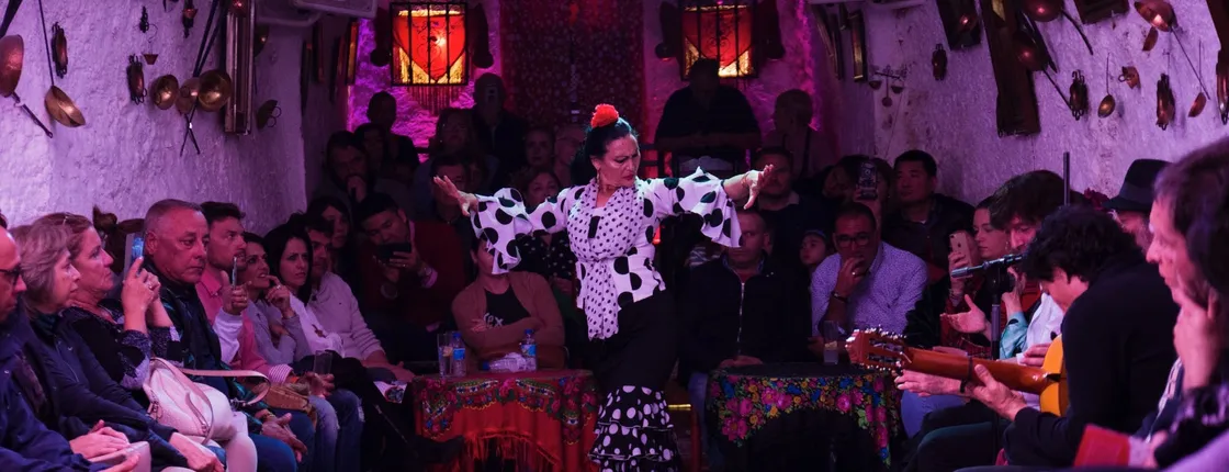 Flamenco show in a Sacromonte cave in Granada with drink