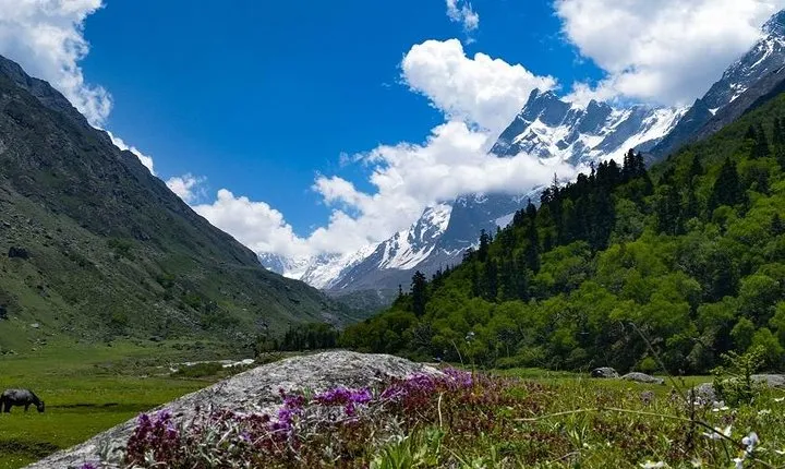 Har Ki dun Trek by Himalaya Shelter