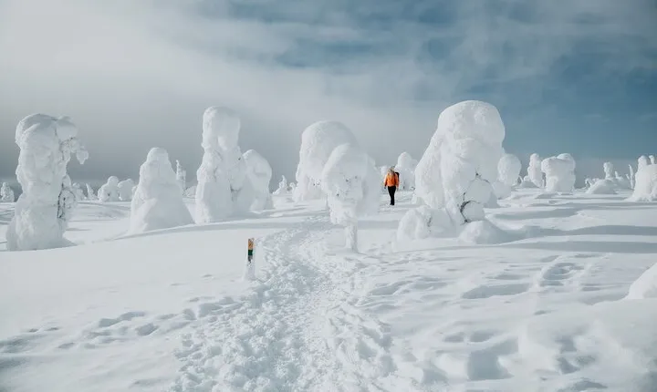 Riisitunturi National Park Scenic Hike and BBQ Experience