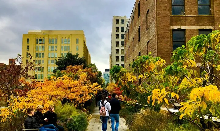Explore the High Line: Small Group Walking Tour