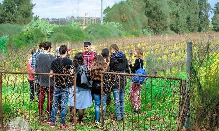 The Ultimate Wine Experience