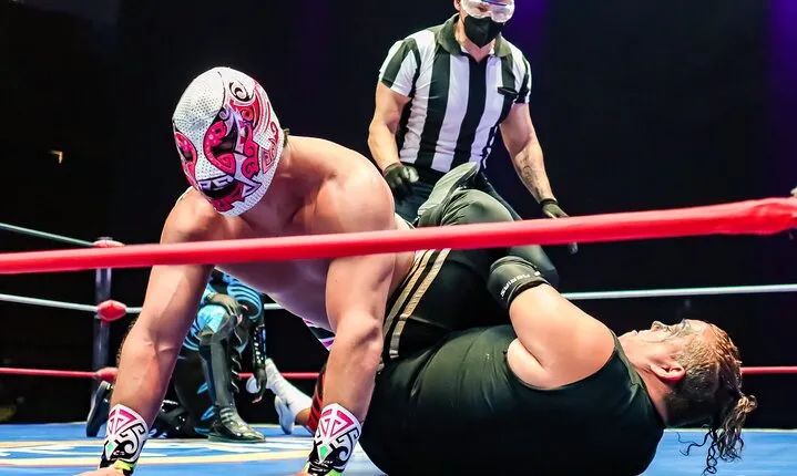 Lucha Libre, Pulque and Tacos Tour in Mexico City