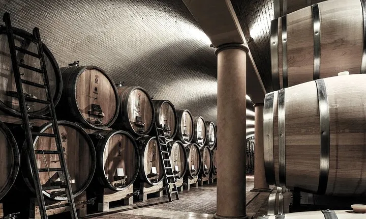 Verona area: Wine Tasting Experience in Valpolicella